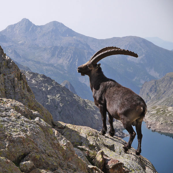 Activit&eacute;s &eacute;t&eacute;