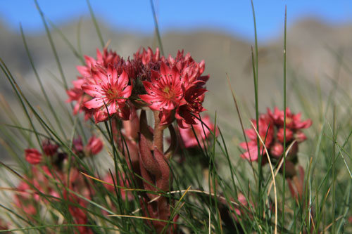 Activit&eacute;s &eacute;t&eacute;